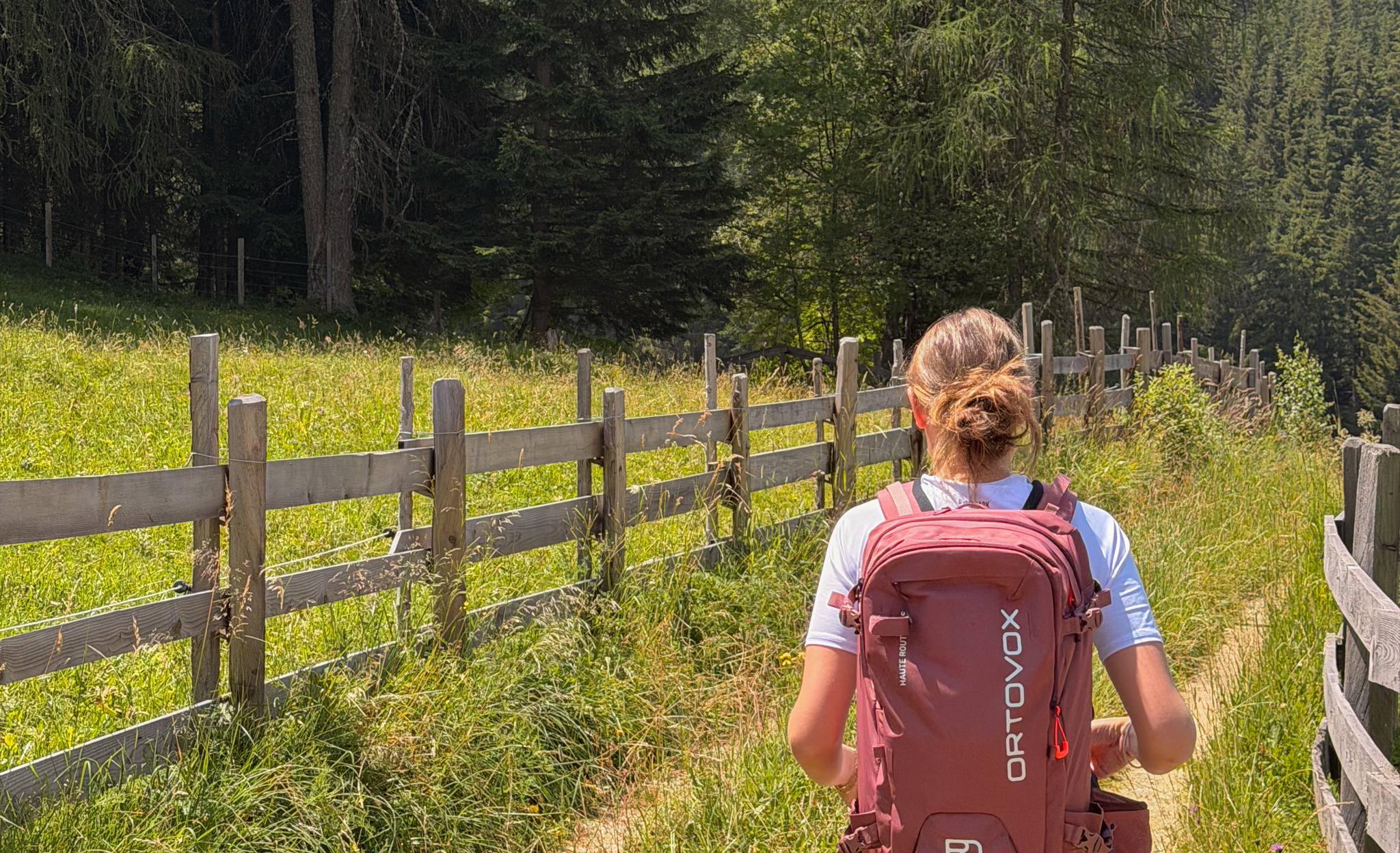 Wanderin auf dem Latemar.Relax Wanderweg durch die Natur in Obereggen.