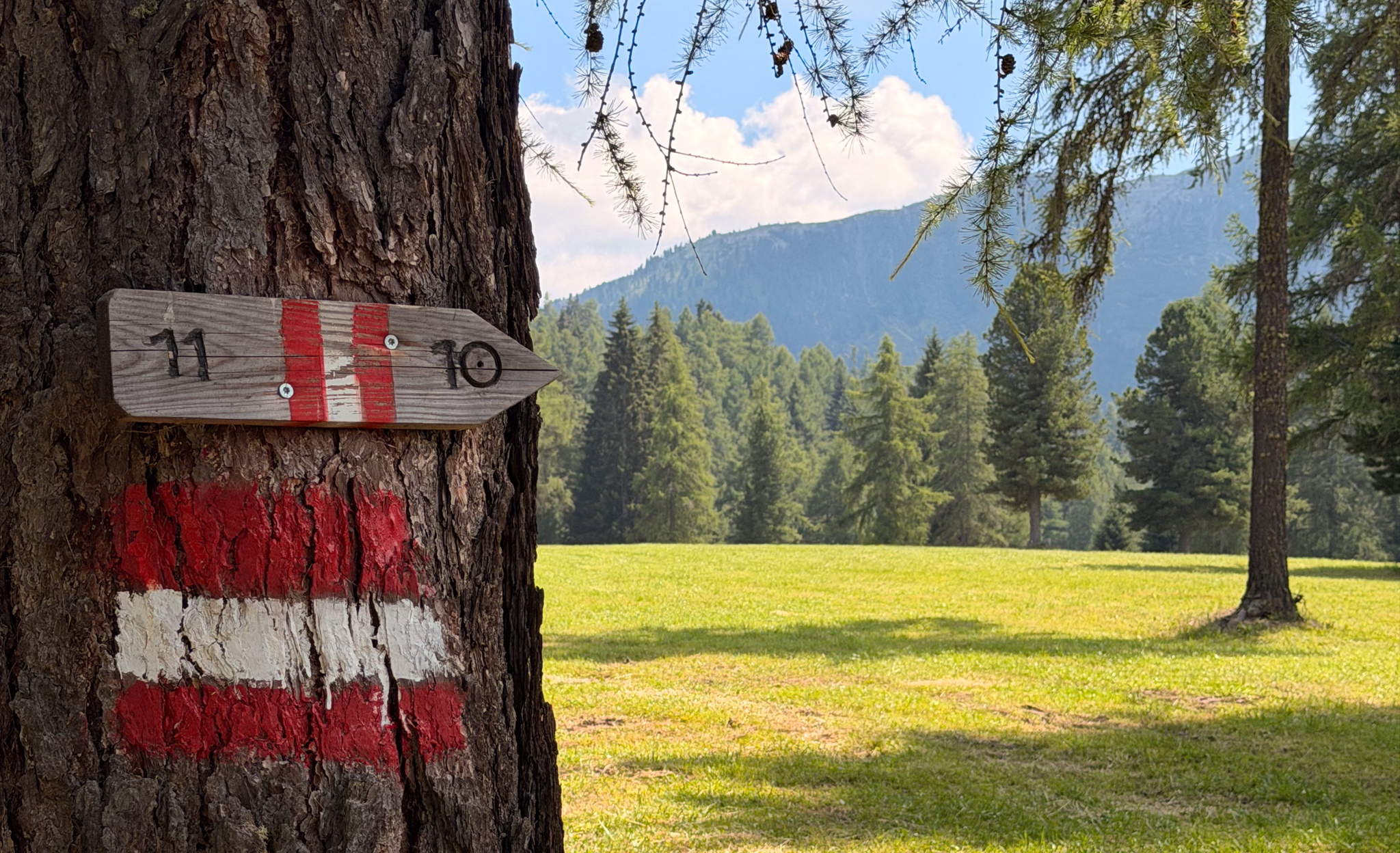 Wegmarkierung 11 des Latemar.Relax in Obereggen über Wiesen und durch Wälder