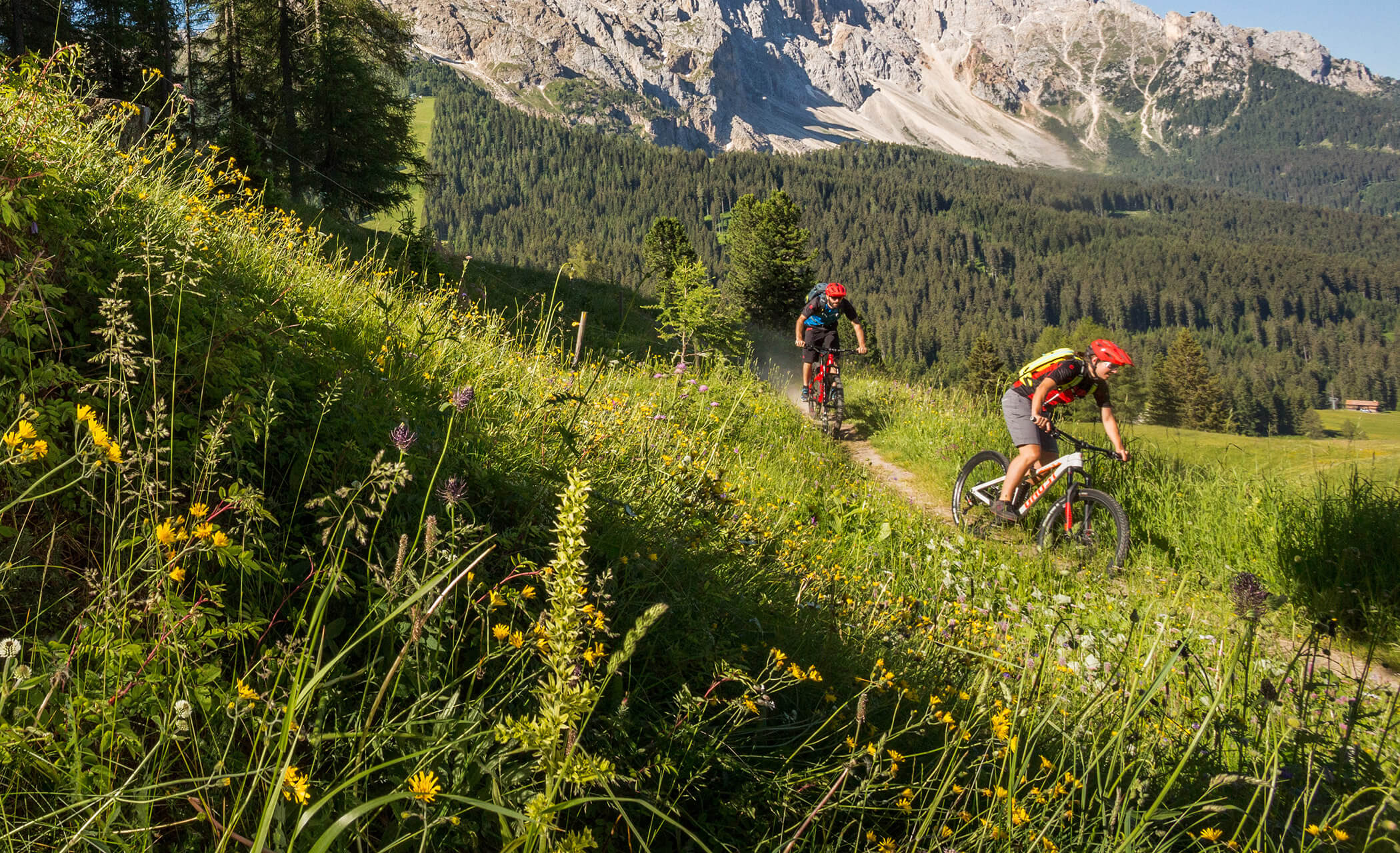 Giro del Latemar con l'e-bike