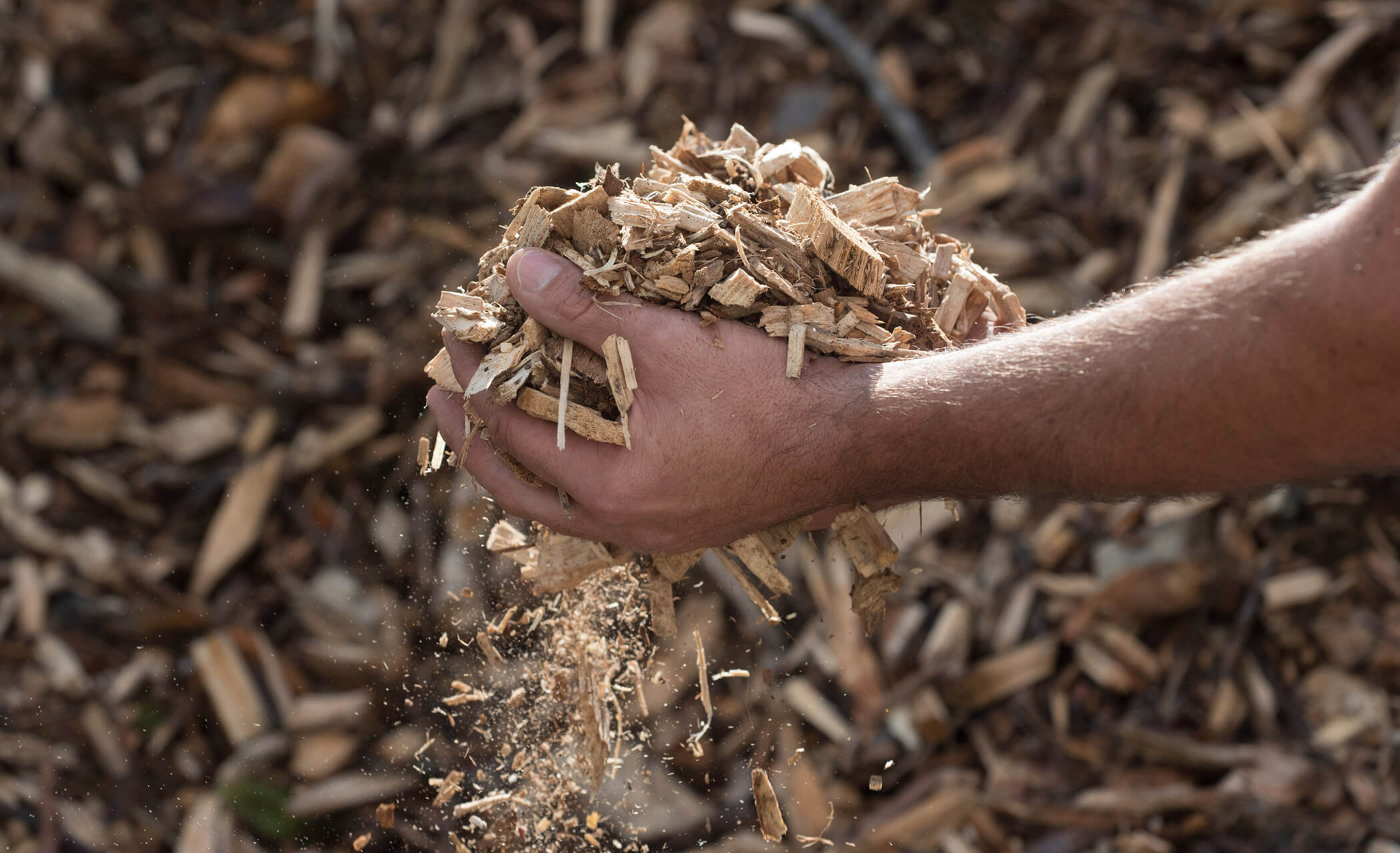 Sostenibile - Impianto a cippato