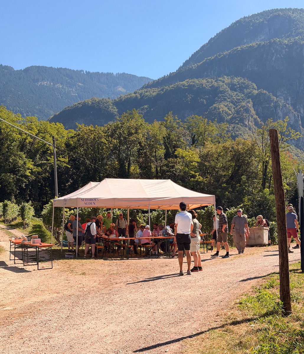 Gita degli ospiti abituali del Sonnalp a Montagna